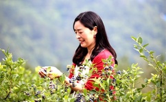 玩弄农村妇女真实经历